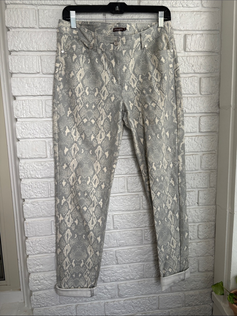 Unknown Brand Women's Ankle Pants in Gray Snake Print